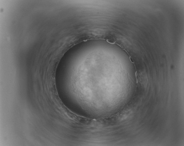 X0000062891009200601201840