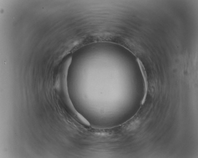 X0000062891010200601201840