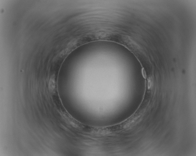 X0000062891011200601201840