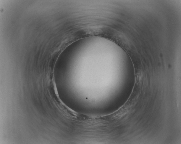 X0000062891012200601201840