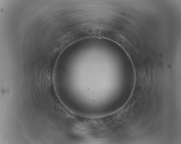 X0000062891013200601201840