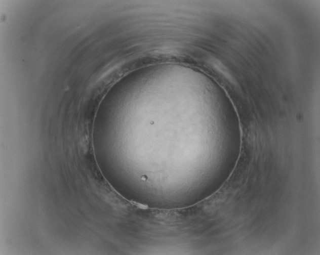 X0000062891015200601201840