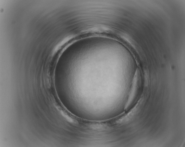 X0000062891018200601201840