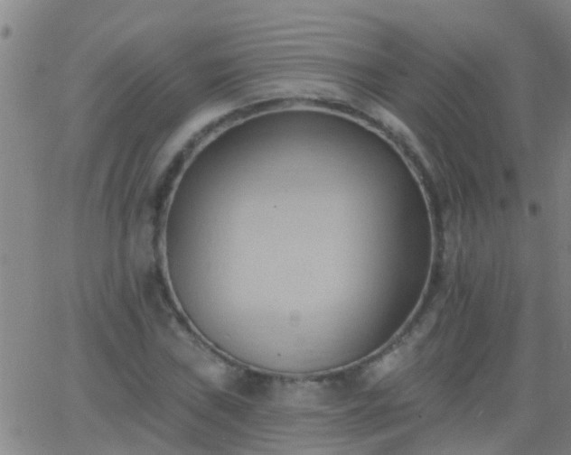 X0000062891019200601201840