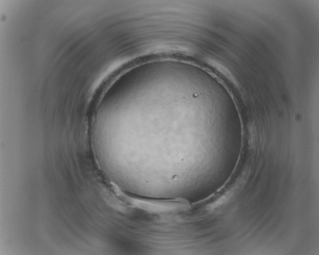 X0000062891021200601201840