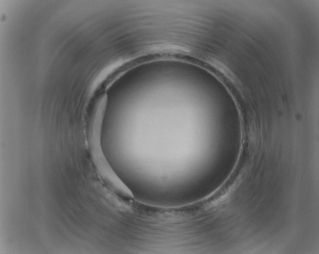 X0000062891022200601201840