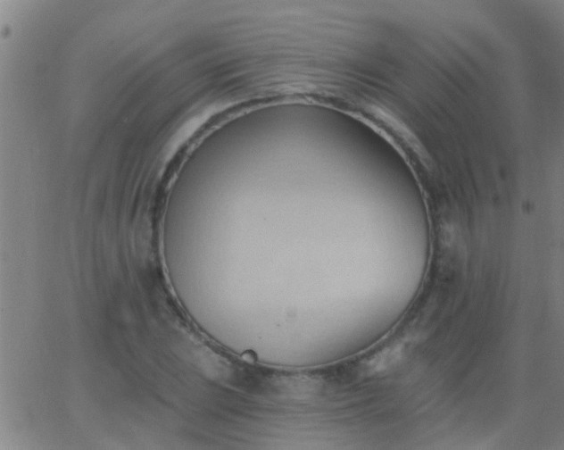 X0000062891023200601201840