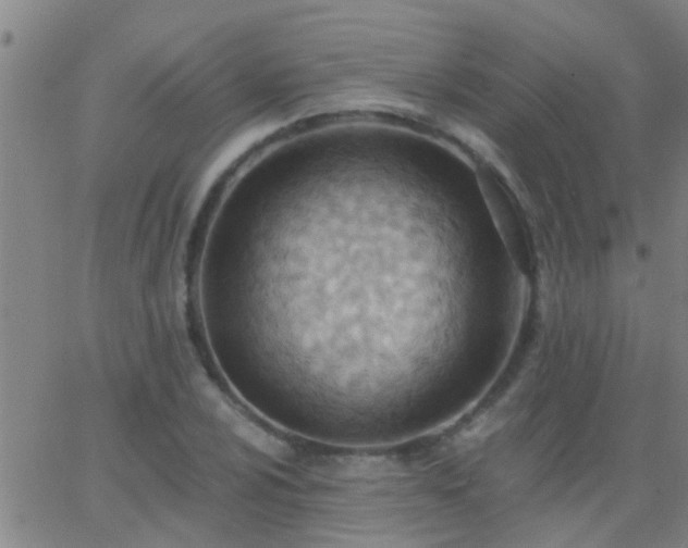 X0000062891024200601201840