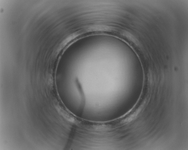 X0000062891025200601201840