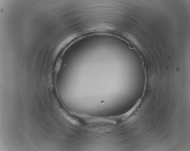 X0000062891026200601201840