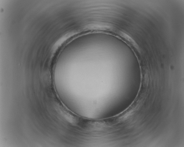 X0000062891027200601201840