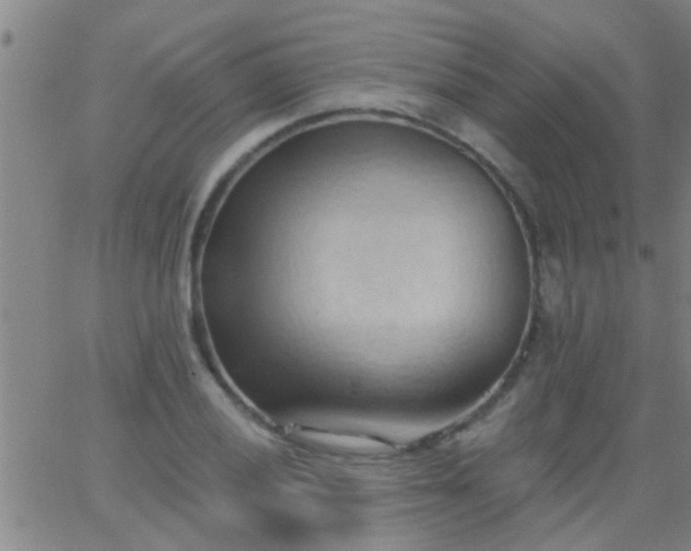 X0000062891028200601201840