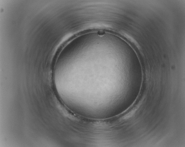 X0000062891029200601201840