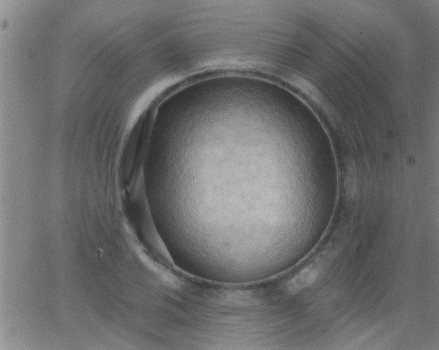 X0000062891030200601201840