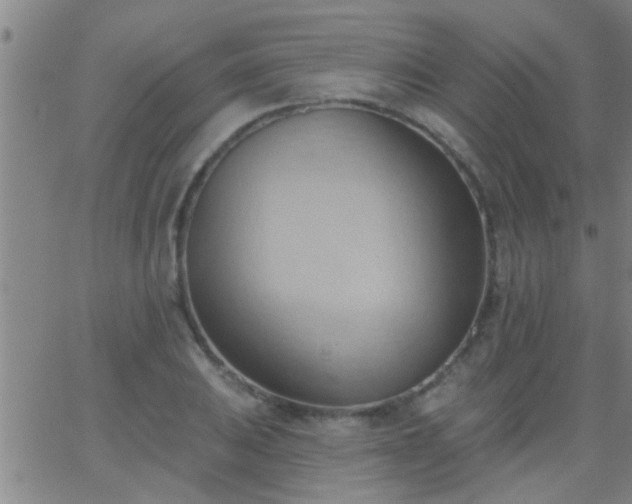 X0000062891031200601201840