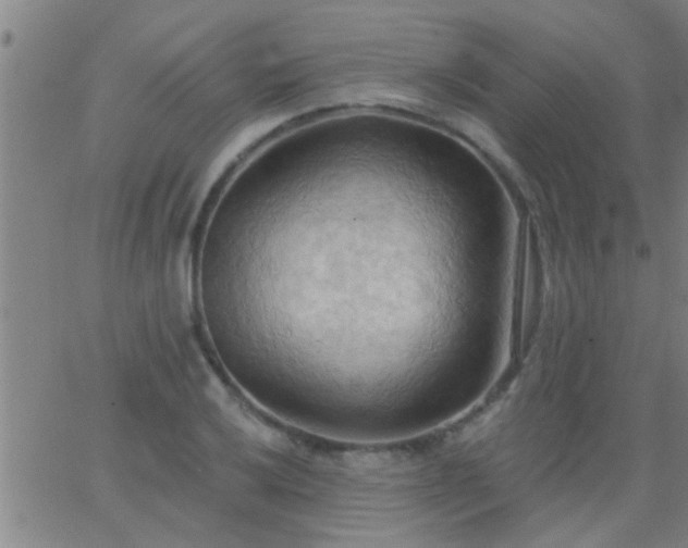 X0000062891032200601201840