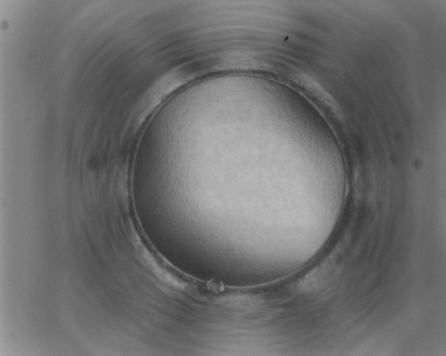 X0000062891033200601201840