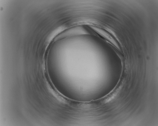 X0000062891034200601201840