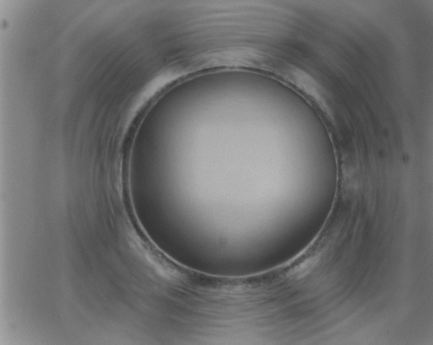 X0000062891035200601201840