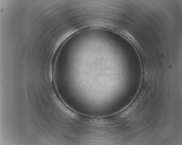 X0000062891036200601201840