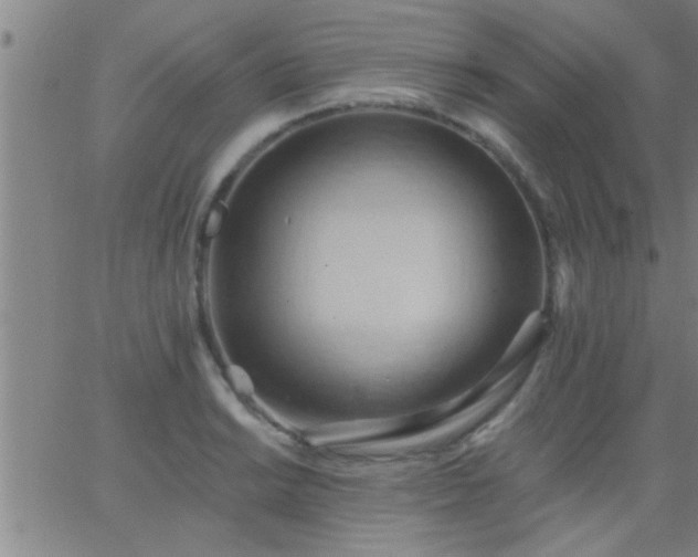 X0000062891038200601201840