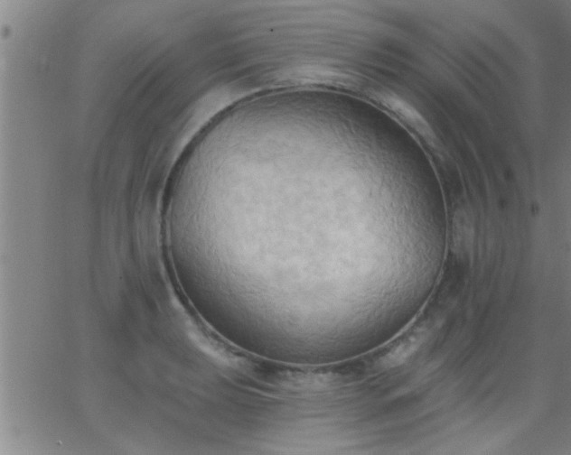 X0000062891039200601201840