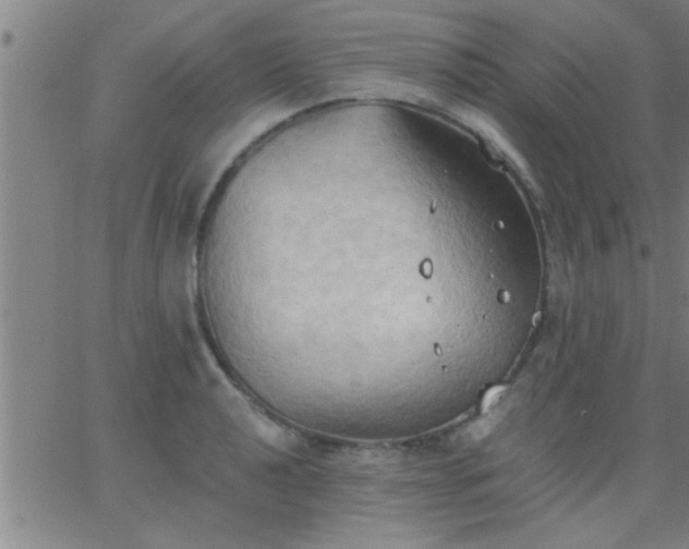 X0000062891040200601201840