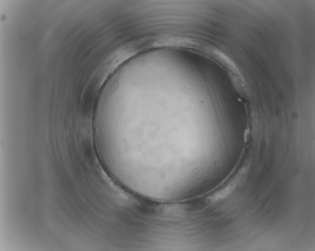 X0000062891041200601201840