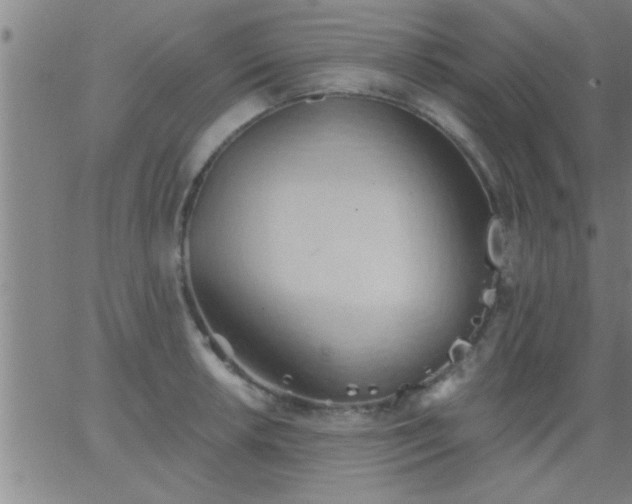 X0000062891042200601201841