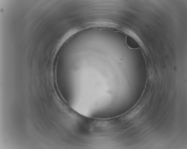 X0000062891043200601201841