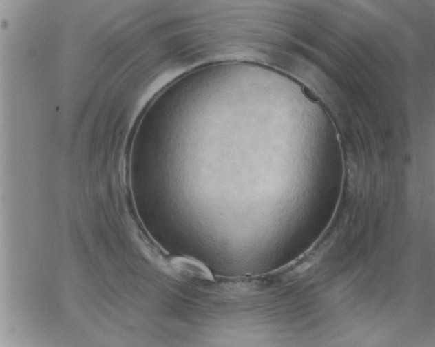 X0000062891044200601201841