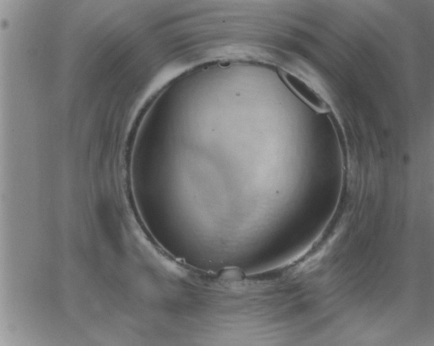 X0000062891045200601201841