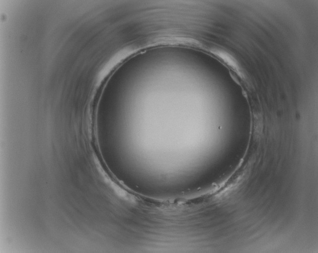 X0000062891046200601201841