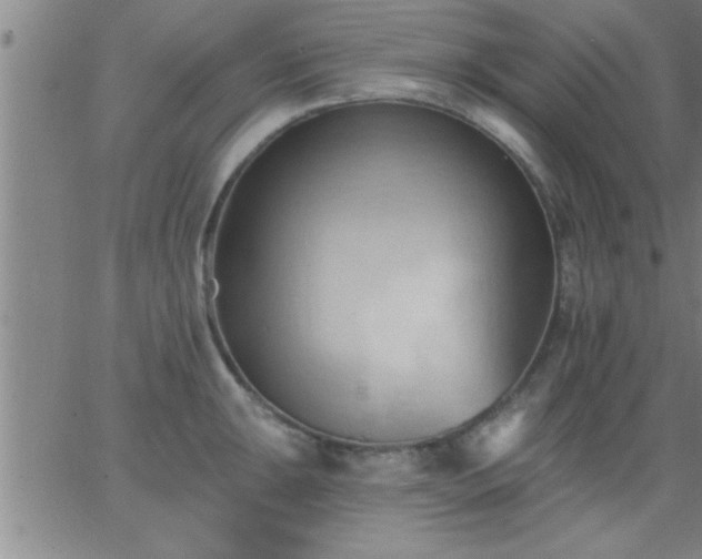 X0000062891047200601201841