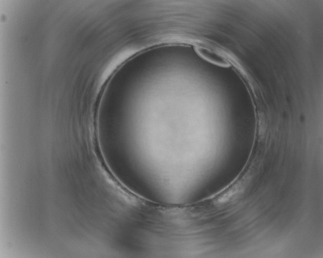 X0000062891048200601201841