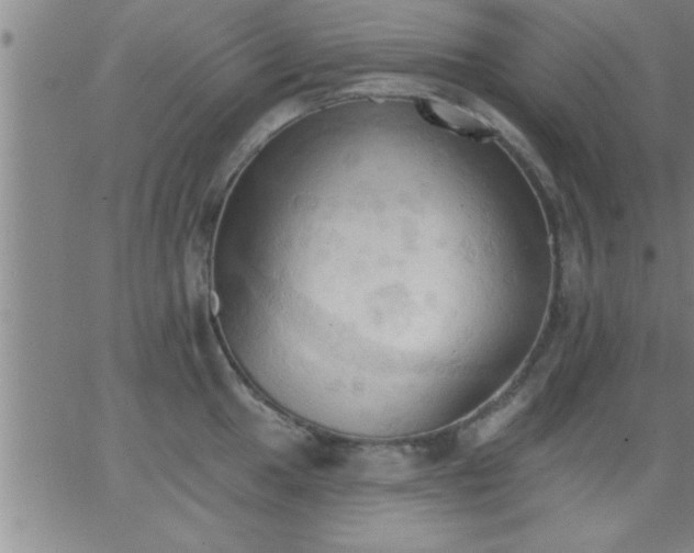 X0000062891049200601201841