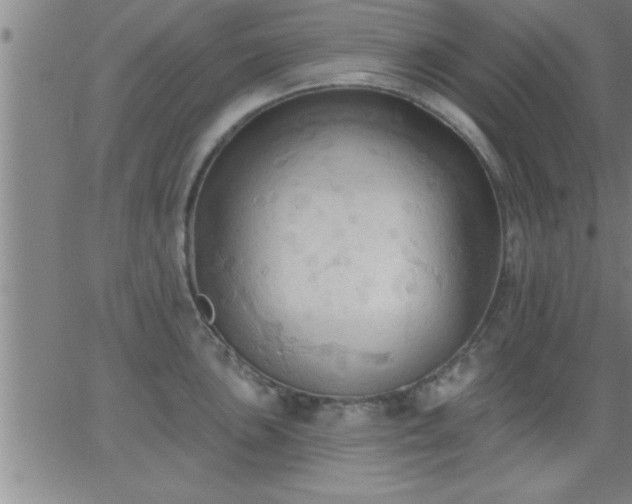 X0000062891051200601201841