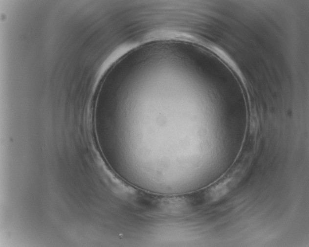 X0000062891053200601201841