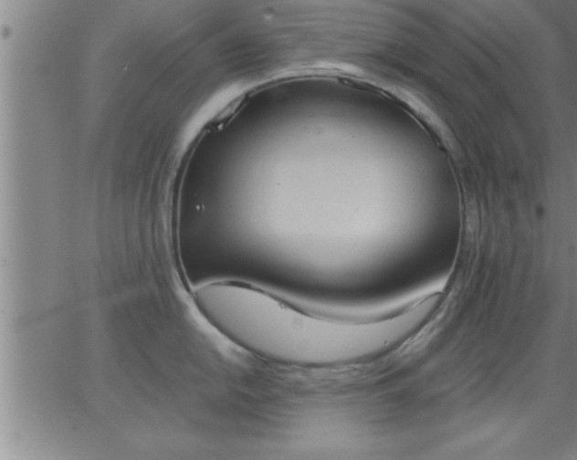 X0000062891054200601201841