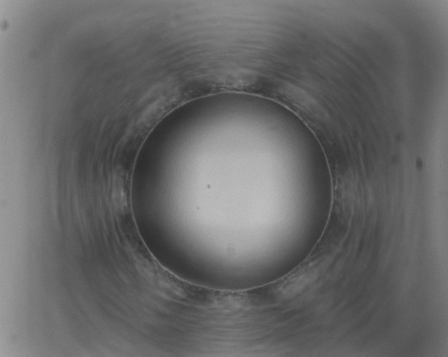 X0000062891058200601201840