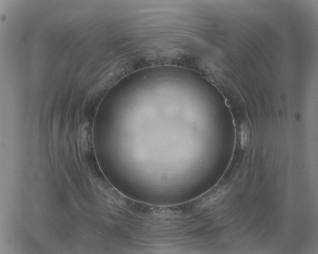 X0000062891059200601201840