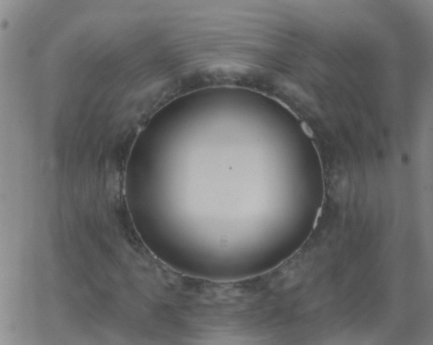 X0000062891061200601201840