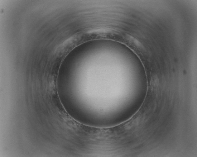 X0000062891062200601201840