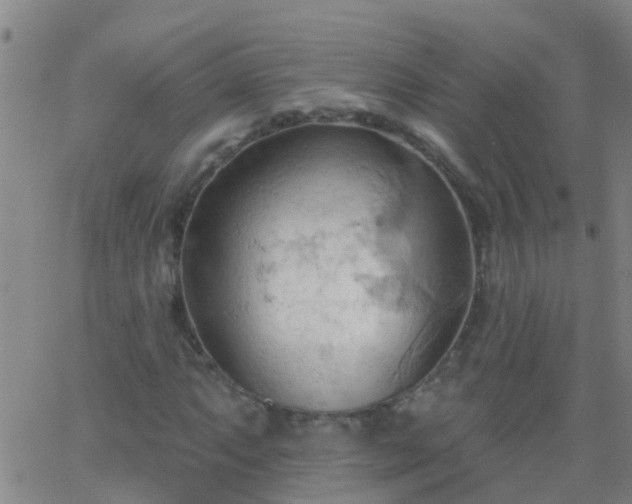 X0000062891063200601201840