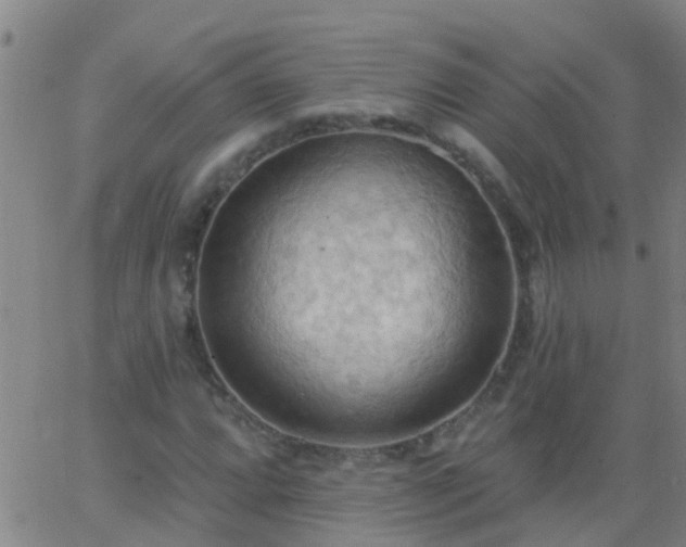 X0000062891064200601201840