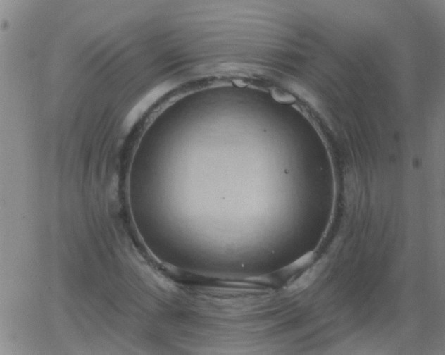 X0000062891066200601201840