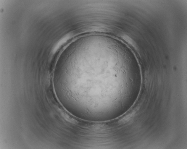 X0000062891067200601201840