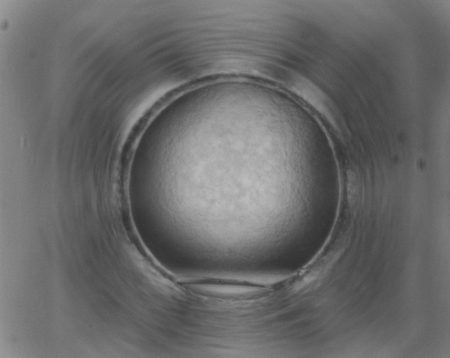 X0000062891068200601201840