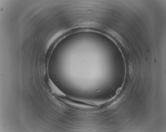 X0000062891069200601201840