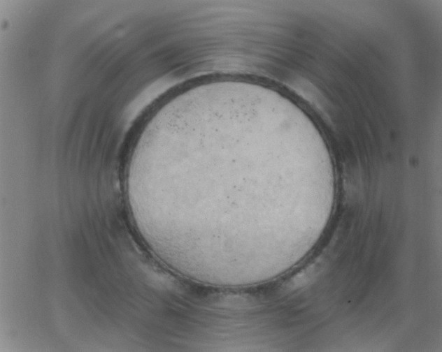 X0000062891070200601201840